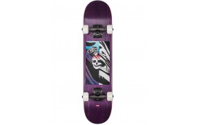 GLOBE Mt Warning Micro 6.5" - Skateboard Complet