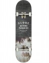 GLOBE G1 Varsity 8.0 - Skateboard Komplett