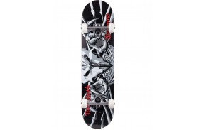 BIRDHOUSE Falcon 3 7.75" - Skateboard complet