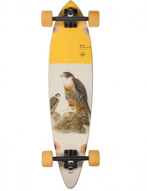 GLOBE Pintail 34" Falcon -...