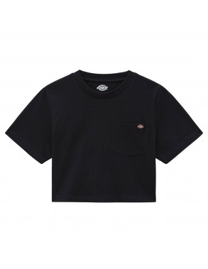 DICKIES Porterdale - Black...