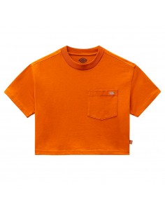 DICKIES Porterdale - Pumpkin Spice - T-shirt