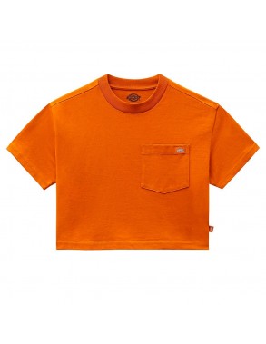 DICKIES Porterdale - Pumpkin Spice - T-shirt