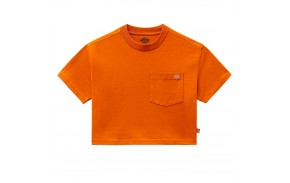 DICKIES Porterdale - Pumpkin Spice - T-shirt