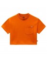 DICKIES Porterdale - Zucca e spezie - T-shirt