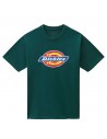 DICKIES Pictogram Logo - Ponderosa Pine - T-shirt