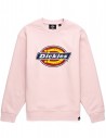 DICKIES Pittsburgh - Pink - Crewneck Femmes