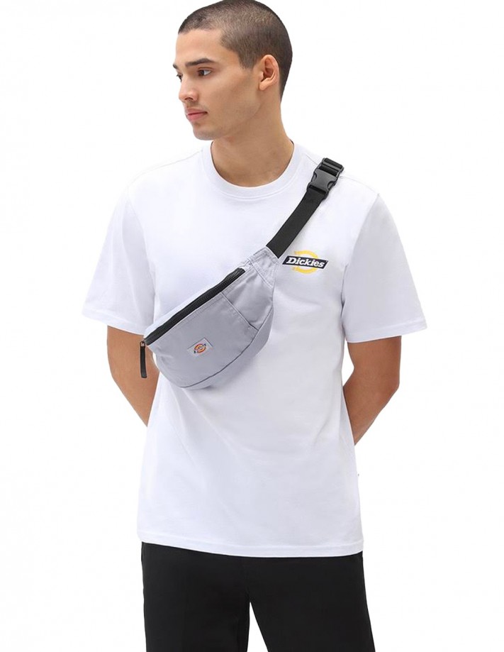 DICKIES Ruston - Blanc - T-shirt porté