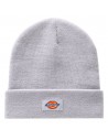 DICKIES Gidsland - Grijs - Beanie