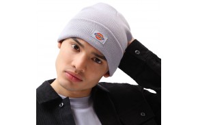 DICKIES Gidsland - Grey - Beanie men