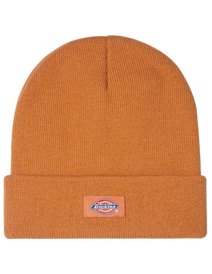 DICKIES Gidsland - Orange - Beanie