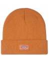 DICKIES Gidsland - Orange - Beanie