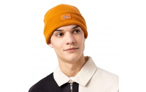 DICKIES Gidsland - Orange - Bonnet homme