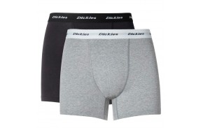 DICKIES 2 Pack Trunks - Assorted Colour - Boxer