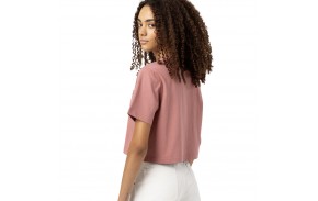 DICKIES Porterdale - Pink - Croptop T-shirt back