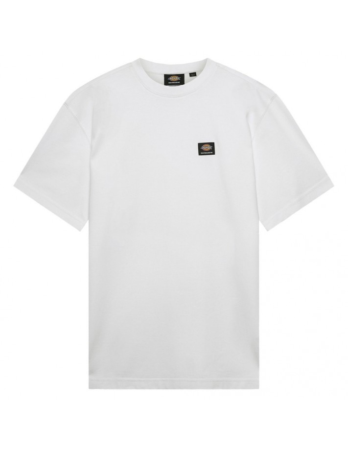 DICKIES Mount Vista - White - Long sleeves T-shirt - view from the front