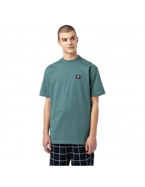 DICKIES Mount Vista - Green - T-shirt - view from the front