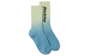 DICKIES Seatac - Celadon Green - Socks