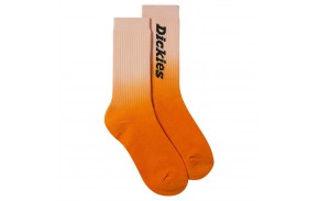 DICKIES Seatac - Golden Ochre - Chaussettes