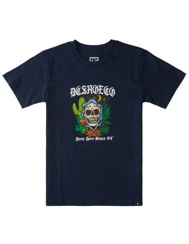 DC SHOES Been Here - Navy - T-shirt