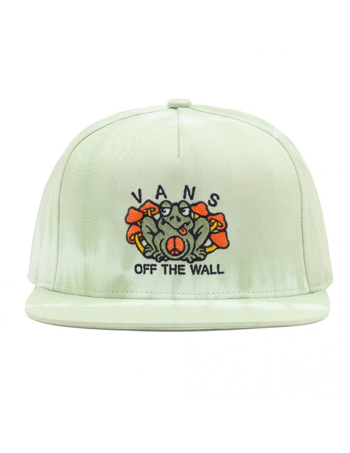 VANS Peace of Mind - Light Green - Cap - front view