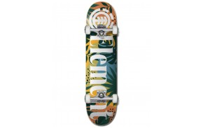 Skateboard Element Monstera 8.0 complet