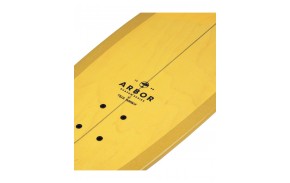 ARBOR x CARVER Shaper Warren 29" C7 - Surfskate complet