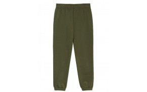 DICKIES Mapleton - Military Green - Pantalon de jogging (dos)