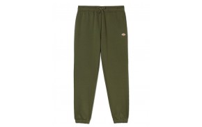 DICKIES Mapleton - Military Green - Jogging pants