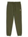 DICKIES Mapleton - Verde militar - Pantalones de jogging