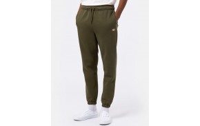 DICKIES Mapleton - Military Green - Jogging pants