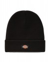 Dickies Gibsland - Black - Beanie