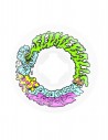 SLIME BALLS Vomit Mini 53mm 97a - Blanco - Ruedas de skateboard