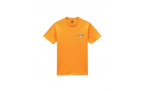 T-Shirt DICKIES Men color Orange