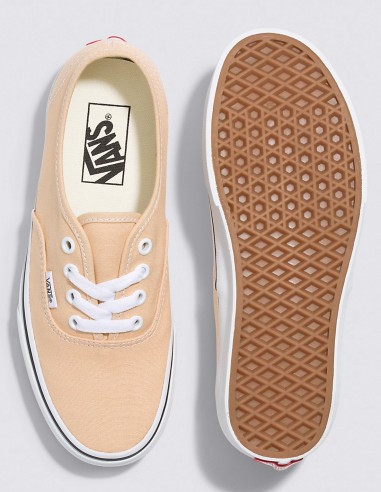 VANS Authentic Color Theory - Skate shoes