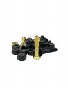 BROSKI Nick Steenbeke Black & Gold 1" Allen - Flat head - Screws