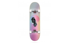 JART Sculptural 8.0" - Skateboard complete