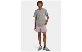 ELEMENT Valley Twill - Lavender Gray - Shorts Skate