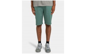 ELEMENT Howland Classic - North Atlantic - Shorts (Skate)