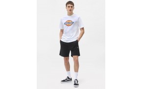 DICKIES Pelican Rapids - Black - Short Hommes