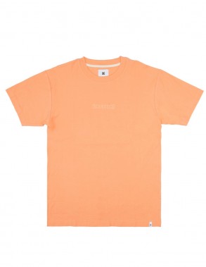 DC SHOES Raddled Crew - Papaya Punch - T-shirt