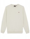 DICKIES Oakport - Witkap Grijs - Sweatshirt Crew
