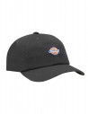 DICKIES Hardwick - Zwart - Pet