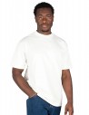 RVCA Benj Bouquet - Salt - T-shirt