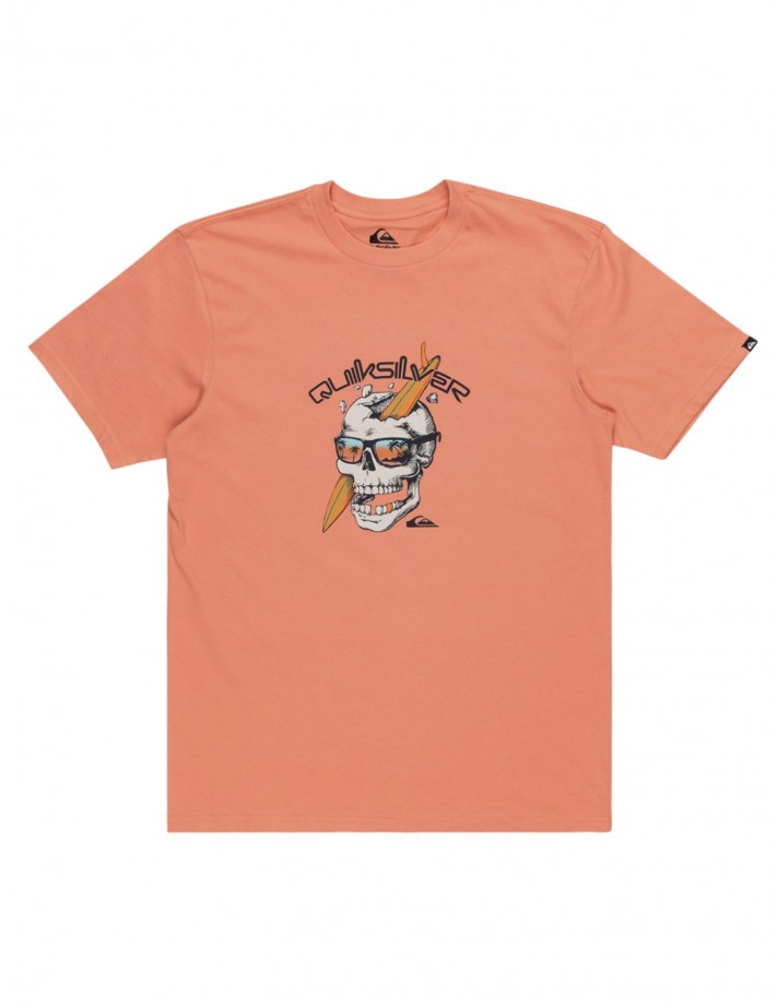 Quiksilver One Last Surf - Canyon Clay - T-Shirt