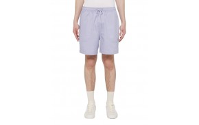 DICKIES Pelican Rapids - Cosmic Sky - Shorts