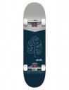 Skateboard Aloiki Blauwblad 7,87 - compleet