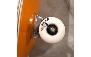 ENJOI 8.125" Box Panda Orange - Skateboard complet - roue