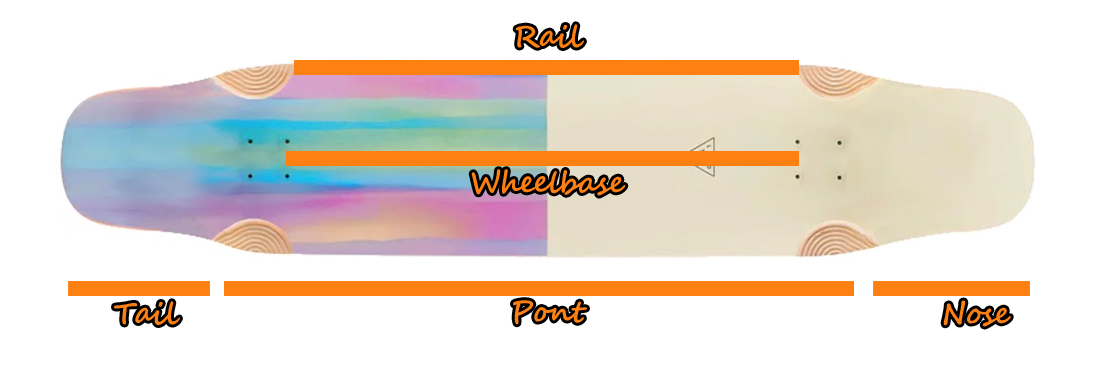Longboard shapes