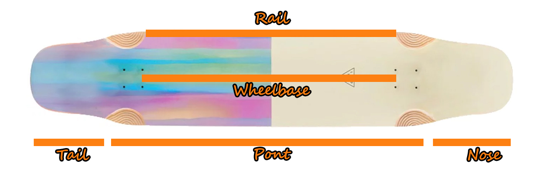 Shapes de longboard
